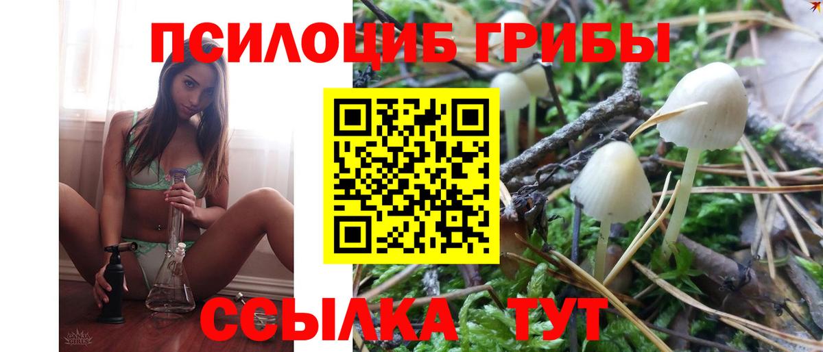 Галлюциногенные грибы мицелий Керчь